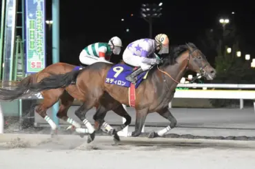 【船橋競馬　Jpn2ダイオライト記念】兵庫の7番人気オディロン差し切りV　ダートグレード初制覇 - スポニチ Sponichi Annex ギャンブル