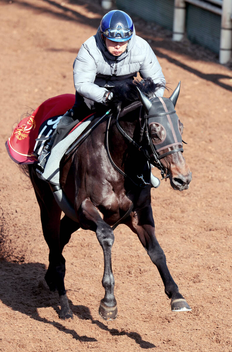 岩田康誠騎手が騎乗し、坂路で反応良く脚を伸ばしたアスクエジンバラ