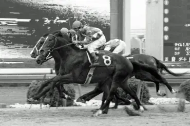 3冠への期待、14連敗…復活勝利直後に天へ旅立ったマティリアル - スポニチ Sponichi Annex ギャンブル