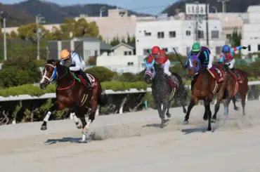 【姫路競馬　白鷺賞】ヘラルドバローズ　押し切りV　小谷哲平は師匠の管理馬で重賞制覇 - スポニチ Sponichi Annex ギャンブル