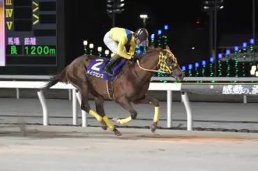 【船橋・ネクストスター東日本】メイクセンス、鮮やか抜け出し重賞初制覇 - スポニチ Sponichi Annex ギャンブル