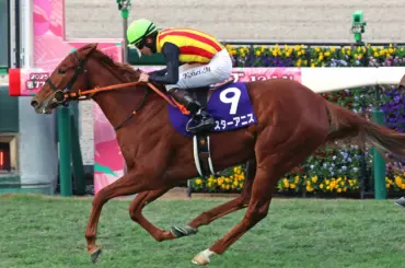 【桜花賞を占う】2歳女王スターアニスが一歩リード - スポニチ Sponichi Annex ギャンブル