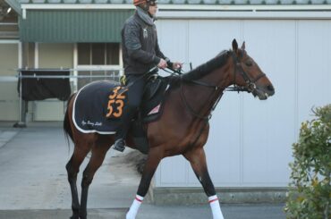 馬トク激走馬に計算されたサノノグレーター（カメラ・荒牧　徹）