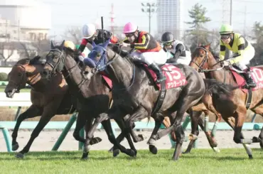 【スプリングS】皐月新星だ!アウダーシアがレースレコードV　手塚久厩舎にまたクラシック候補現る - スポニチ Sponichi Annex ギャンブル