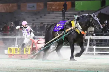 【ばんえい競馬　イレネー記念】オレノコクオウ重賞初V　鈴木恵介騎手「思った通りの位置取りができた」 - スポニチ Sponichi Annex ギャンブル