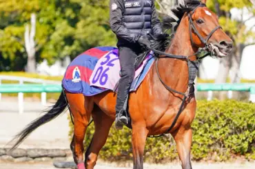【フラワーC】ゴディアーモ　中山で成長見せる!　津村も好感触「いい競馬になると思う」 - スポニチ Sponichi Annex ギャンブル