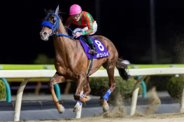 【水沢競馬　駒形賞】ボウトロイがデビュー91走目で重賞初V　岩本怜騎手「今回は強気に乗ろうと」 - スポニチ Sponichi Annex ギャンブル