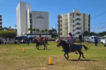 復活から9回目　基地の町に春告げる琉球競馬 - スポニチ Sponichi Annex ギャンブル