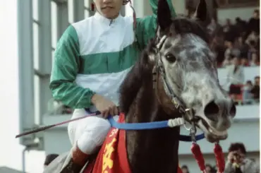 【追憶の阪神大賞典】91年メジロマックイーン　オグリ引退後の“不安”を一掃　新時代のヒーロー誕生 - スポニチ Sponichi Annex ギャンブル