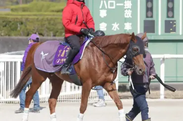 ダノンデサイル坂井が初コンタクト「さすがダービー馬」「乗せてもらえることが光栄で非常に楽しみ」 - スポニチ Sponichi Annex ギャンブル