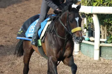 【阪神大賞典】マイネルエンペラー　父に続け!　3連覇ゴールドシップの血が騒ぐ「今は特に元気いい」 - スポニチ Sponichi Annex ギャンブル