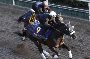 【高松宮記念1週前追い】ラストランのナムラクレア、悲願へ状態確実アップ - スポニチ Sponichi Annex ギャンブル