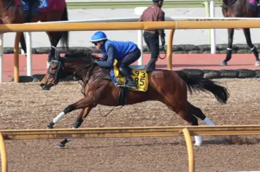 【愛知杯】ワイドラトゥール、鋭敏な走り披露　再コンビの西塚「体調は良さそう」 - スポニチ Sponichi Annex ギャンブル