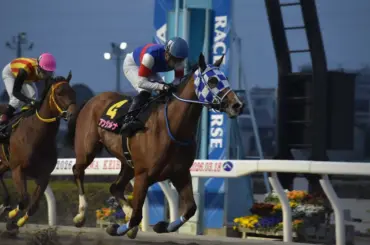 【浦和競馬　桜花賞】アンジュルナが逃げ切って桜の女王　きついマーク振り切り単勝1.1倍に応えた - スポニチ Sponichi Annex ギャンブル