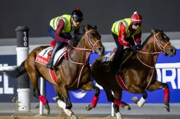 ドバイワールドCデー出走予定馬発表　日本馬はフォーエバーヤング、ガイアフォースなど5競走に計6頭 - スポニチ Sponichi Annex ギャンブル