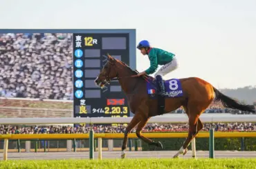 ジャパンC制したカランダガン　ドバイシーマクラシック参戦が正式決定　アガカーン・スタッズが発表 - スポニチ Sponichi Annex ギャンブル