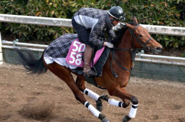 馬トク激走馬に計算されたエアビーアゲイル