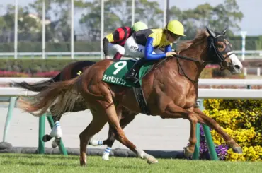 【ファルコンS】ダイヤモンドノット　好位から抜け出し完勝　川田将雅＆福永祐一師コンビの重賞Vは初 - スポニチ Sponichi Annex ギャンブル
