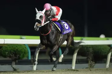 【水沢11R・あやめ賞】セイクリスティーナ　無敗水沢で断然 - スポニチ Sponichi Annex ギャンブル