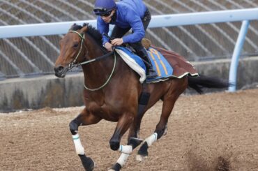 馬トク激走馬に計算されたレッドバンデ（カメラ・荒牧　徹）