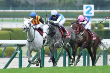 【阪神大賞典】アクアヴァーナル　牝馬初制覇ならずも大健闘2着　四位師感心しきり「百点満点」 - スポニチ Sponichi Annex ギャンブル