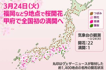 ウェザーニュース