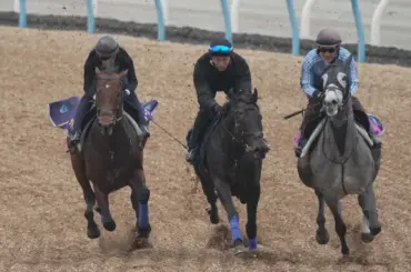 【高松宮記念】サトノレーヴ連覇へ泰然自若　堀厩舎流“柔らか仕上げ”で万全アピール - スポニチ Sponichi Annex ギャンブル