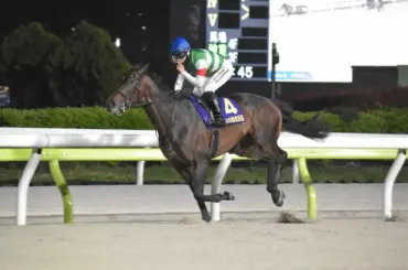 【大井競馬　京浜盃】ロックターミガン　早め先頭から押し切ってダート2戦2勝＆重賞初制覇 - スポニチ Sponichi Annex ギャンブル