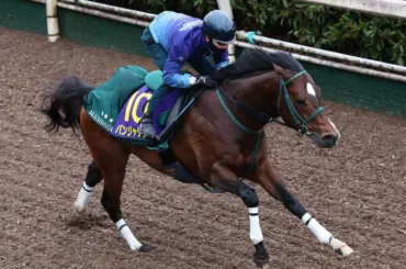 【高松宮記念】パンジャタワー　余裕坂路ラスト1F11秒9　松山「さすがだなと思える動き」 - スポニチ Sponichi Annex ギャンブル