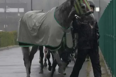 【高松宮記念】ララマセラシオン　鞍上は丸田に決定　1週前追いにも騎乗「いい感じだった」 - スポニチ Sponichi Annex ギャンブル