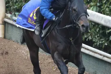 【高松宮記念】コース替わり歓迎！（7）ヨシノイースター抜け出す - スポニチ Sponichi Annex ギャンブル