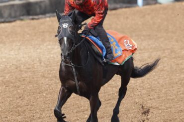 馬トク激走馬に計算されたアスクナイスショー（カメラ・荒牧　徹）
