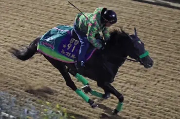 【アルクオーツスプリント】ルガルは2着惜敗　ネイティブアプローチとの追い比べに屈す - スポニチ Sponichi Annex ギャンブル