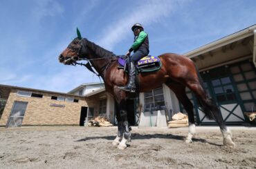 馬トク激走馬に計算されたレイピア（カメラ・高橋　由二）