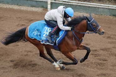 馬トク激走馬に計算されたサンデーファンデー（カメラ・高橋　由二）