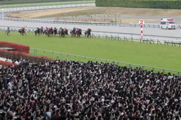 【高松宮記念】ピューロマジックは13着　北村友「こういうプランで競馬をしようと思っていました」 - スポニチ Sponichi Annex ギャンブル
