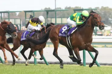 【高松宮記念】サトノレーヴ　圧巻の連覇　鬼脚見せた!!レースレコード1分6秒3 - スポニチ Sponichi Annex ギャンブル