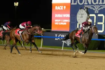 【ドバイWC】フォーエバーヤング2着　矢作師「言い訳はできませんね。こういう情勢だからこそ…」 - スポニチ Sponichi Annex ギャンブル