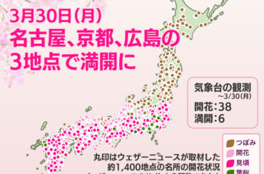 ウェザーニュース