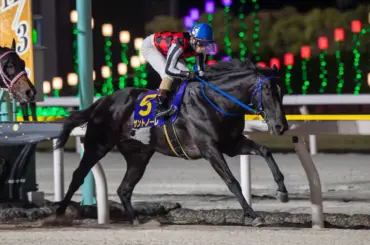 【船橋11R・京成盃グランドマイラーズ】サントノーレ巻き返す - スポニチ Sponichi Annex ギャンブル
