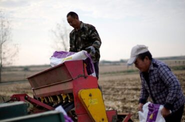 農業肥料が前年比2割高 3年ぶり高値、中東緊迫化で原料も調達難 - 日本経済新聞