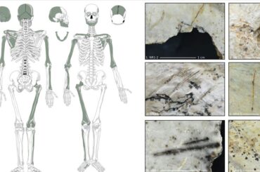 古代欧州人、敵の脳をすくって食べていた可能性　考古学調査で痕跡発見 - CNN.co.jp