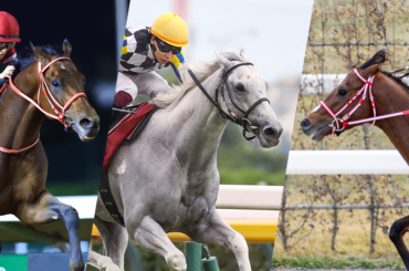 レース概要・過去結果 | 2026ドバイターフ | JRA-VAN World