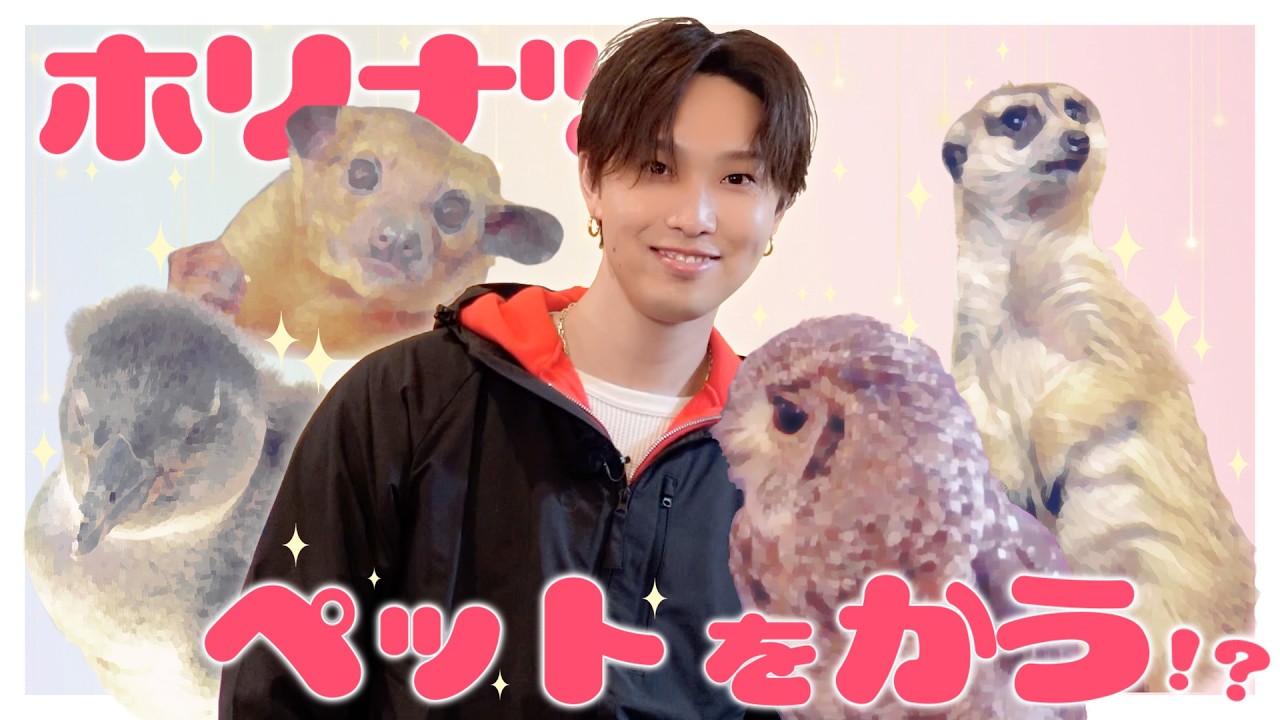 癒やしのペットを見つけよう!