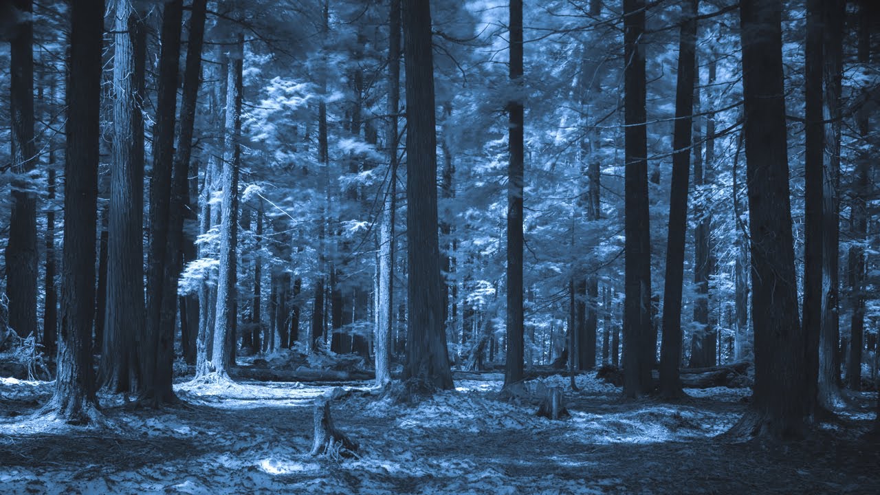 竈門炭治郎のうた – 椎名豪 featuring 中川奈美(フル)