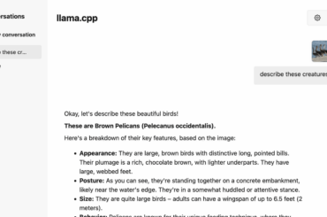 ローカルで各種AIモデルを実行できる無料ソフト「llama.cpp」がマルチモーダル入力をサポートし画像の説明などが可能に - GIGAZINE