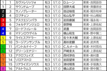 皐月賞2026の枠順
