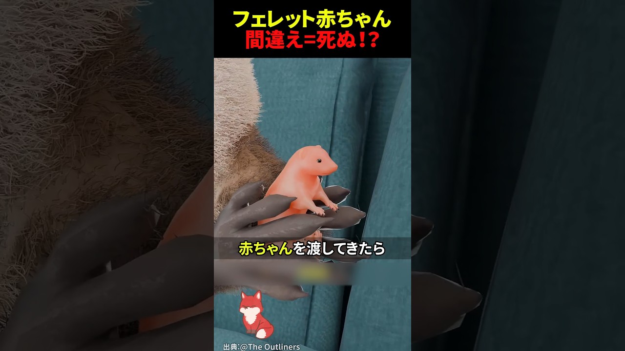 フェレットが赤ちゃんを渡してきたら絶対に返すべき理由