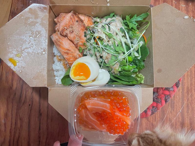 Bento box with salmon