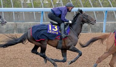 天皇賞・春連覇狙うヘデントール 競馬、最終追い切りで態勢整える | 全国のニュース | 福井新聞ONLINE